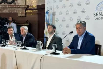 Los gobernadores patagónicos en el Senado.