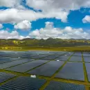 Energía limpia, política sucia: la brecha entre el discurso verde y la realidad latinoamericana en la COP30