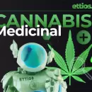Tendollar Plant: revolucionando la industria del Cannabis a travs de la tokenizacin junto a Ettios.io