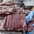 China y Brasil implementarn un plan de trazabilidad de carne vacuna: qu busca la medida?