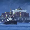 Las dos caras del RIGI: incentivos a la inversión y expectativas de un salto exportador