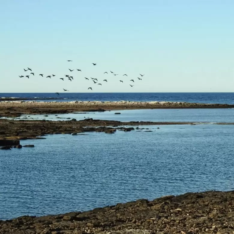 El Parque Nacional Islote Lobos est a unos 30 km de la localidad de Sierra Grande.