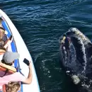 El regalo perfecto: ideas de viajes y experiencias para sorprender a los niños en su día
