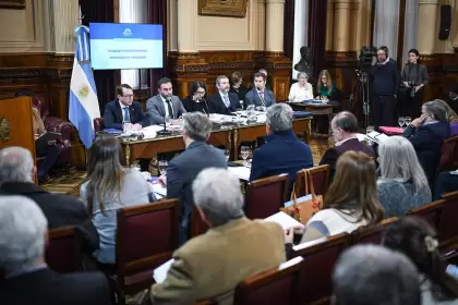 El proyecto se debate en un plenario de comisiones.