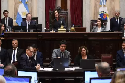 El Senado de la Nacin.