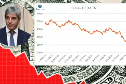 Estos shocks externos (como cuando el real se deprecia o se produce un sudden stop) requeriran de un esquema cambiario bastante ms flexible.