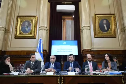 El oficialismo en el Senado reflot, con el respaldo de funcionaros, el proyecto de la Boleta nica de Papel