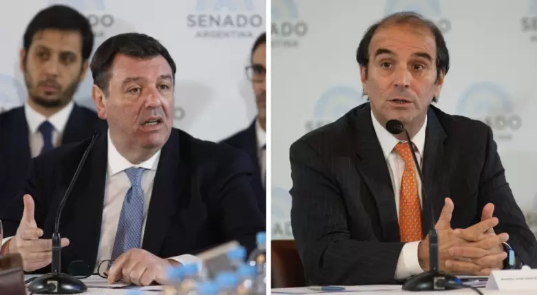 Ariel Lijo y Manuel García Mansilla