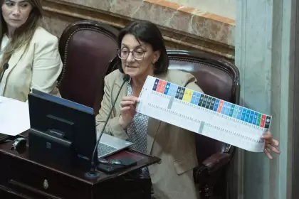 El senado aprob la Boleta nica de Papel en general