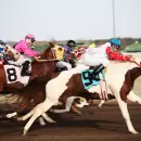 Consejos y estrategias para apuestas de carreras de caballos en Argentina