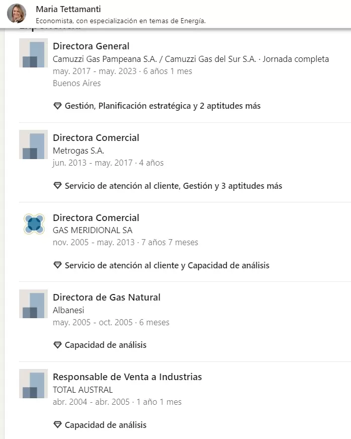 El LinkedIn de María Tettamantti.