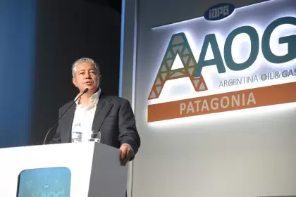 Figueroa: "Siempre pensamos en el largo plazo, por eso llegamos hasta acá"