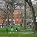 Papelón en Harvard: cancelan clases porque los alumnos se sentían mal tras la victoria de Trump
