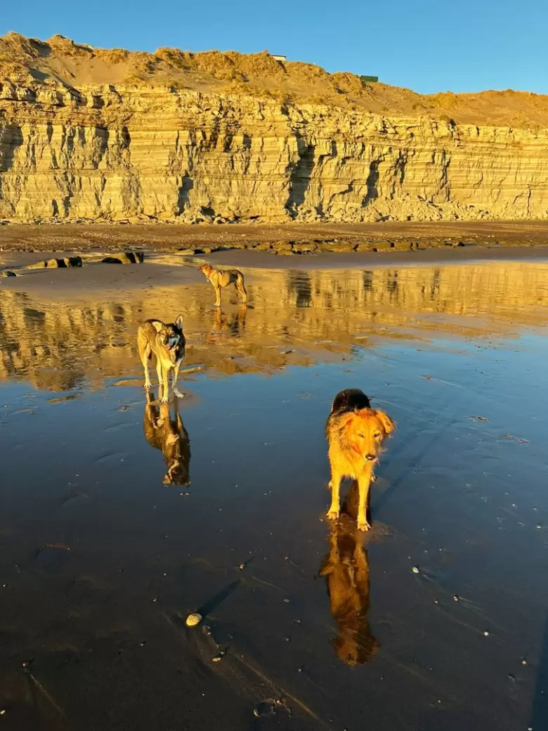 Una de las personas que más recorrió Argentina recomienda 10 lugares para ir este verano