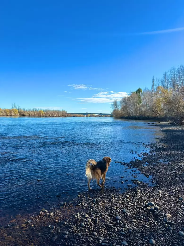 Una de las personas que más recorrió Argentina recomienda 10 lugares para ir este verano