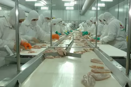 Demoras salariales y rumores de cierre: se agrava la crisis en la mayor avícola del país