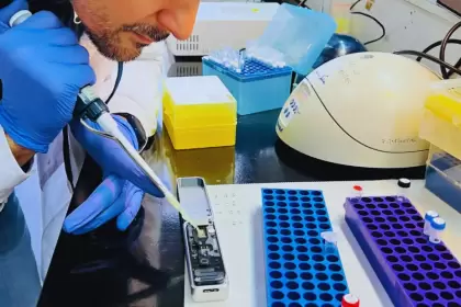 Hito cientfico: el INTA logr secuenciar el genoma de la plaga chicharrita del maz