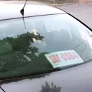 Por el faltante de patentes de chapa hay un gris con los autos que quieran salir del país con las provisorias