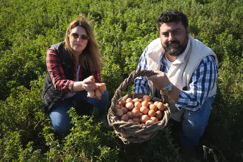 huevos de gallinas libres