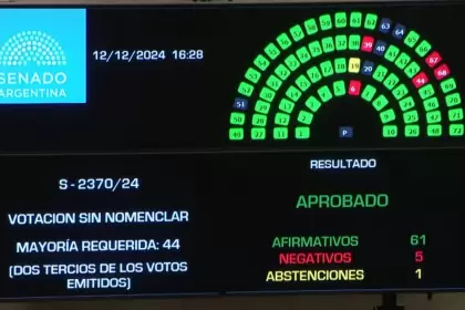 Quiénes son los cinco senadores que votaron en contra de la expulsión de Edgardo Kueider