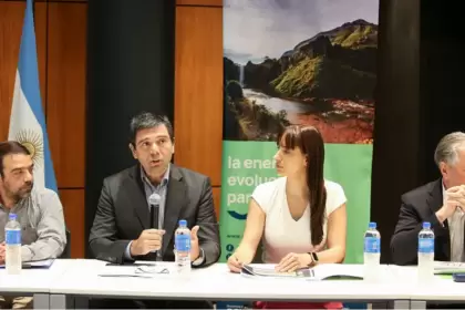 "Es posible que terminemos rápidamente en los próximos años en 800 pozos por año", indicó Medele.