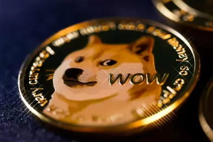 Qué son las memecoins, cómo funcionan y cuáles son sus riesgos