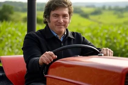 Javier Milei. Imagen hecha con IA.