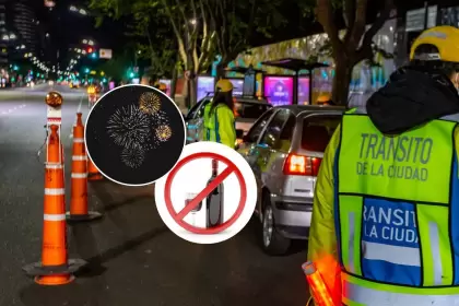 Controles de alcoholemia en Argentina: ¿Cómo funcionan y cuál es su impacto en las estadísticas?