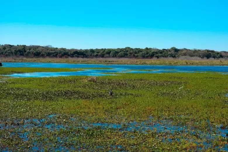 10 lugares INCREÍBLES e IMPERDIBLES de Argentina para visitar en 2025