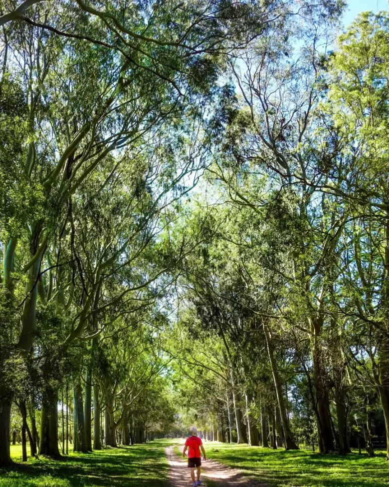 10 lugares INCREÍBLES e IMPERDIBLES de Argentina para visitar en 2025