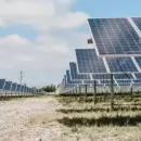 El Gobierno oficializó la aprobación del primer proyecto del RIGI por US$ 211 millones