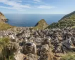 Las Malvinas fueron, son y serán argentinas.