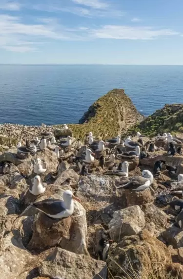 Las Malvinas fueron, son y serán argentinas.
