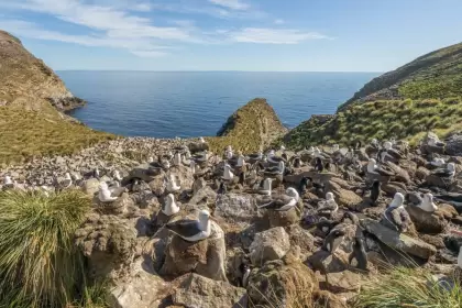 Las Malvinas fueron, son y serán argentinas.