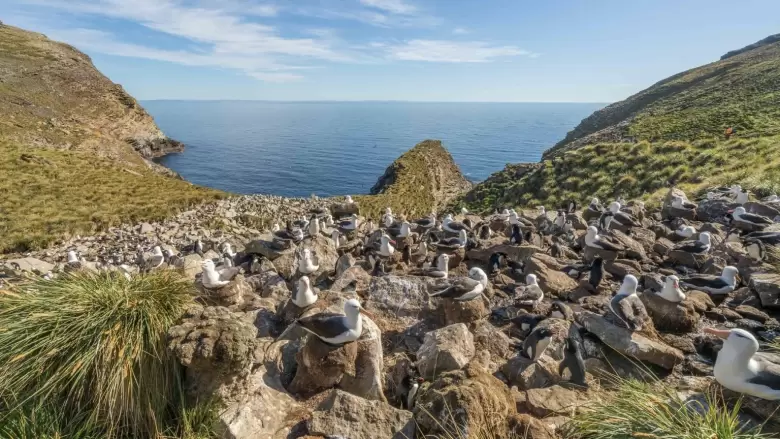 Las Malvinas fueron, son y serán argentinas.