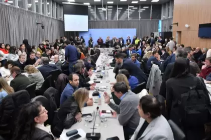 Un plenario de comisiones debate la eliminación de las PASO en Diputados