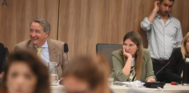 Nicolas Mayoraz y Silvia Lospennato, en el plenario de comisiones por Ficha Limpia.