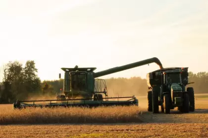 El campo sigue esperando