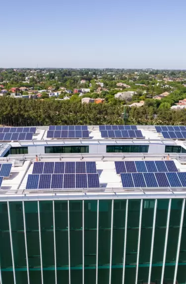Officia impulsa la generación de energía limpia con paneles solares