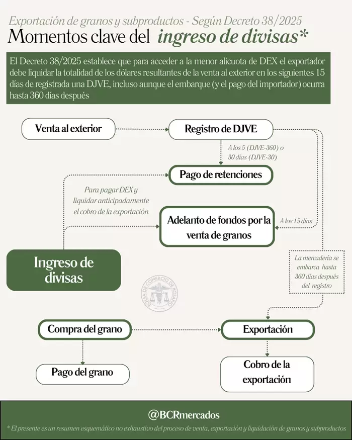 Cinco dudas frecuentes sobre la exportación de granos en Argentina
