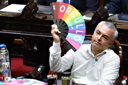 El diputado Esteban Paulón