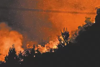 Los incendios en la Patagonia ya quemaron más de 20.000 hectáreas