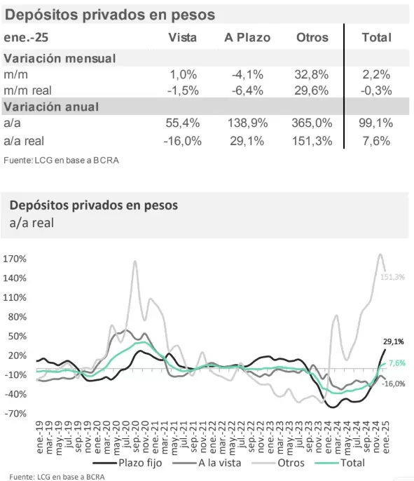 Los depósitos en pesos del sector privado cayeron levemente contra el mes anterior en términos reales.