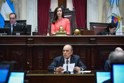 El Gobierno presentará la suspensión de las PASO como una derrota de la "casta" aunque en realidad se trata de una medida que la favorece.