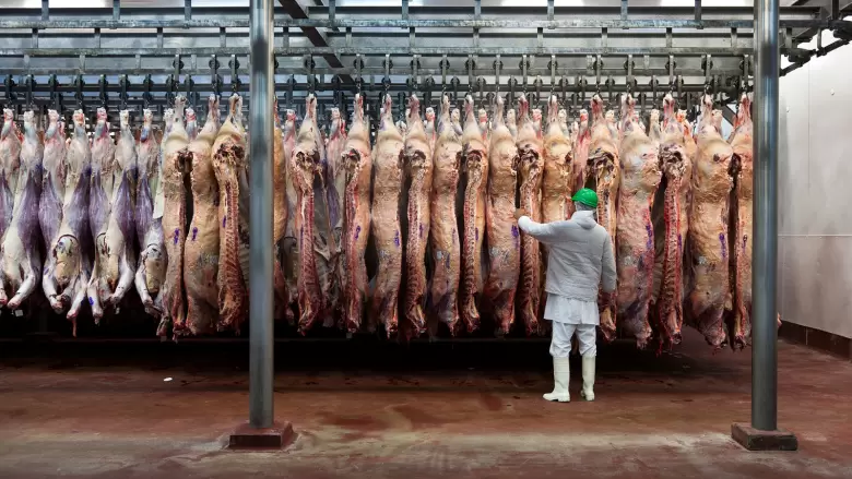 carne