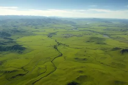 Argentina pasó de ser pionera en biodiesel a ser un país que no crece.