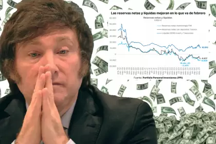 El BCRA compra, pero las reservas suben poco.