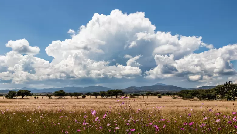 Nube de tormenta cumulonimbus desarrollándose sobre el paisaje.