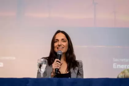 "Sin señales claras desde el Estado, será difícil que las empresas asuman los riesgos necesarios para expandir y modernizar la red", dijo Garibotti.