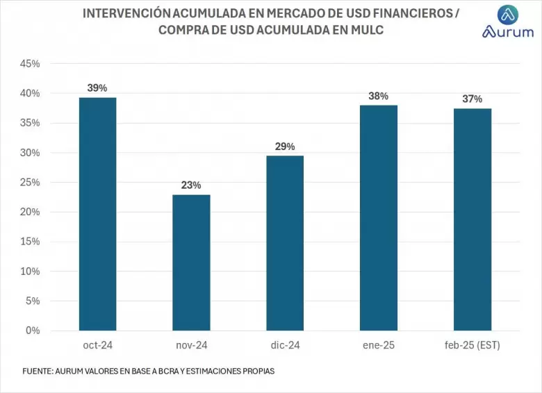 Caputo ya gastó casi US$ 3.000 millones para frenar el dólar en torno $1.200